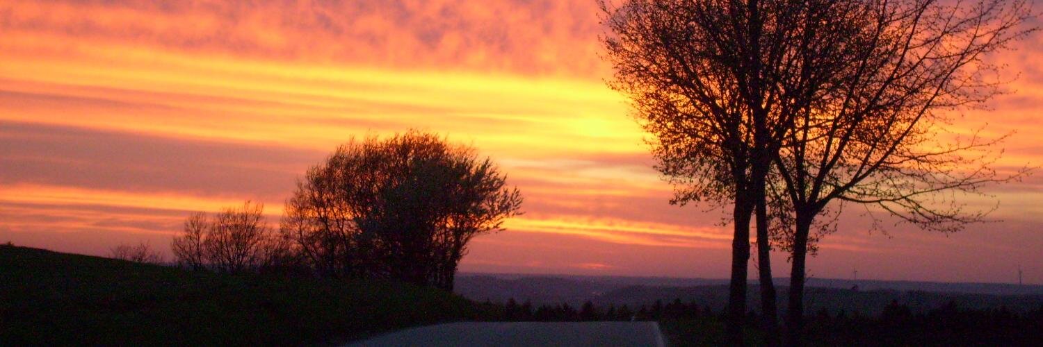 Laufente64's profile banner image
