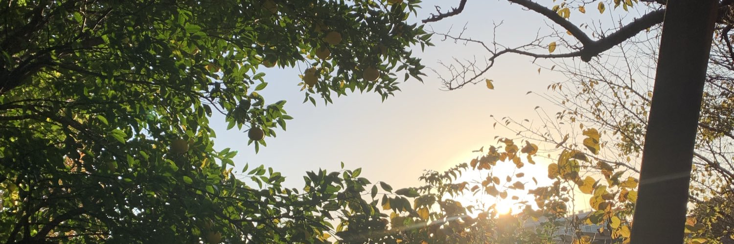903mpo's profile banner image