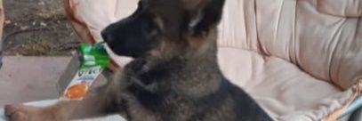 ulises.Z#encontra banner
