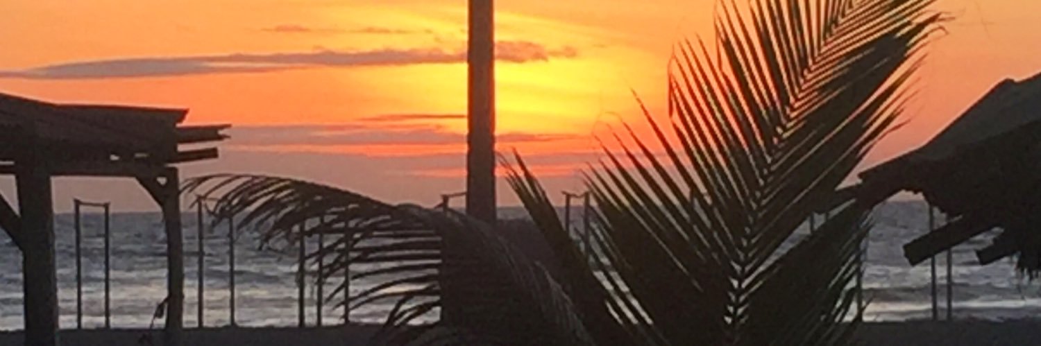 cccSurfShak's profile banner image