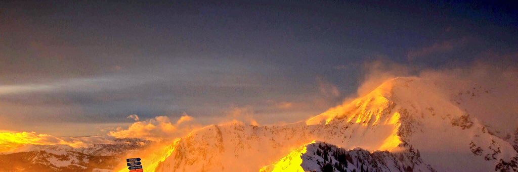 Michael Favato banner