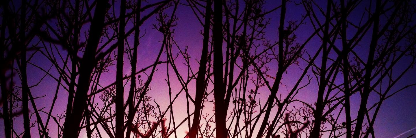 Duckpete73's profile banner image