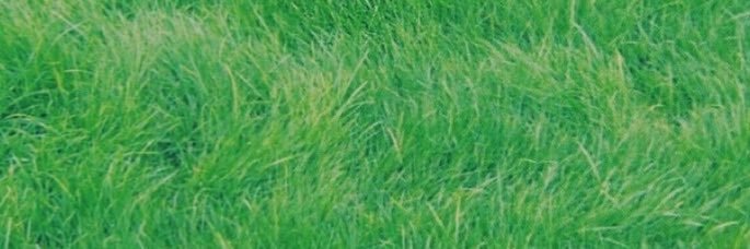 mashiro1208's profile banner image
