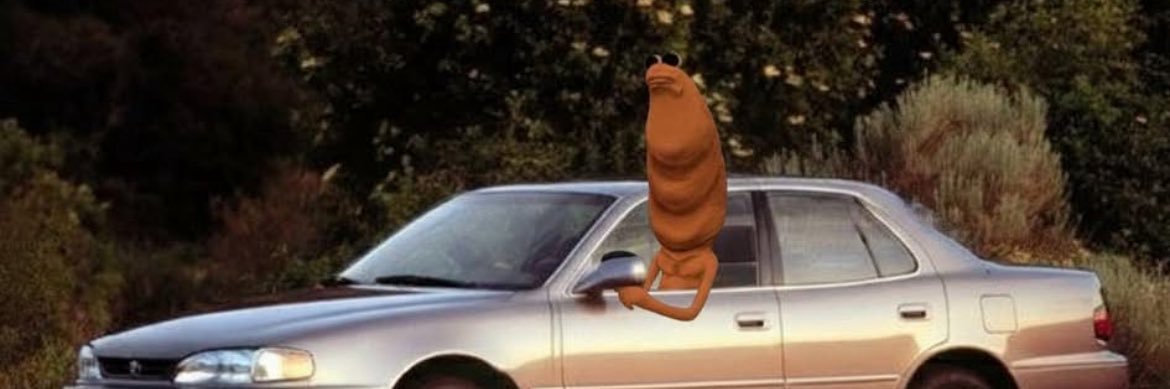 🦝Post Mohrlone 🦝 banner