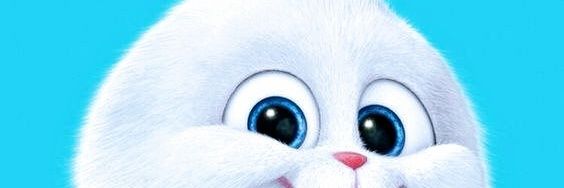 Wisdom66334487's profile banner image