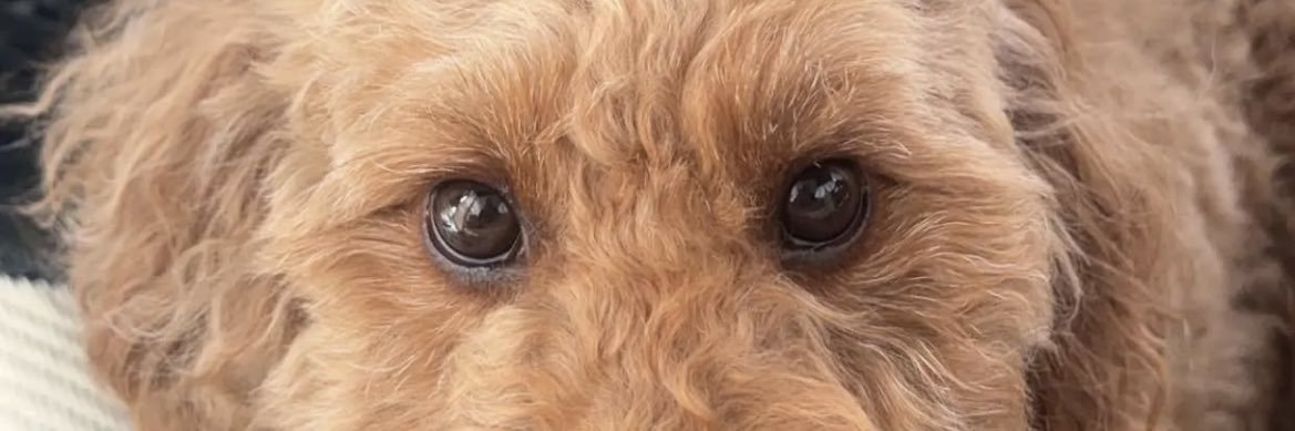 jacknowles_2's profile banner image