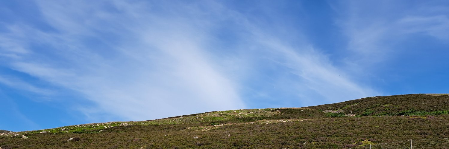 Edo90386381's profile banner image