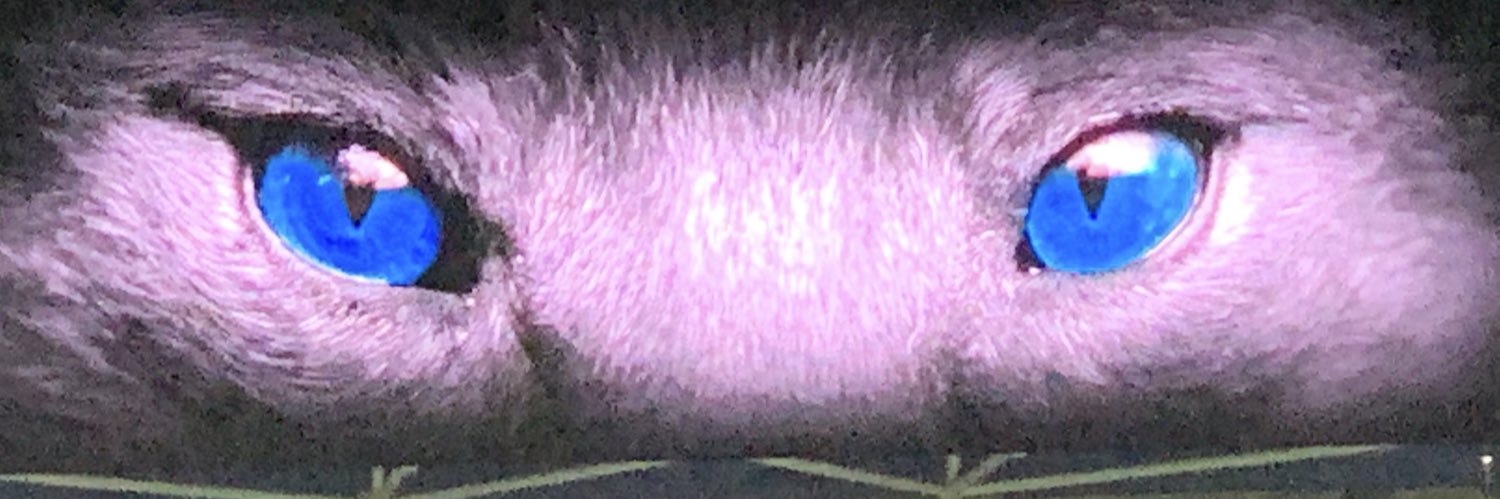 Bert_Hubb's profile banner image