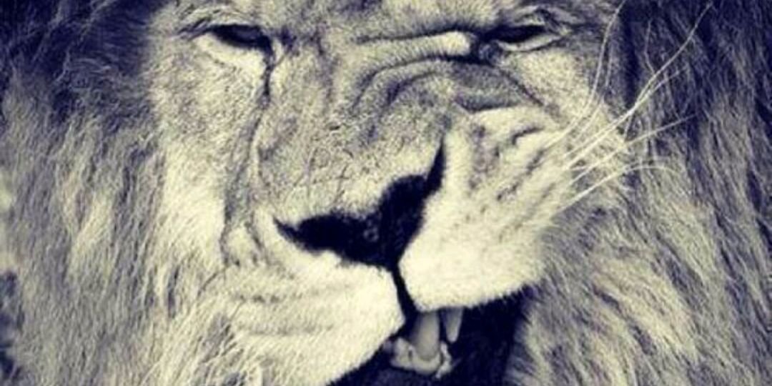 SaamMarley's profile banner image