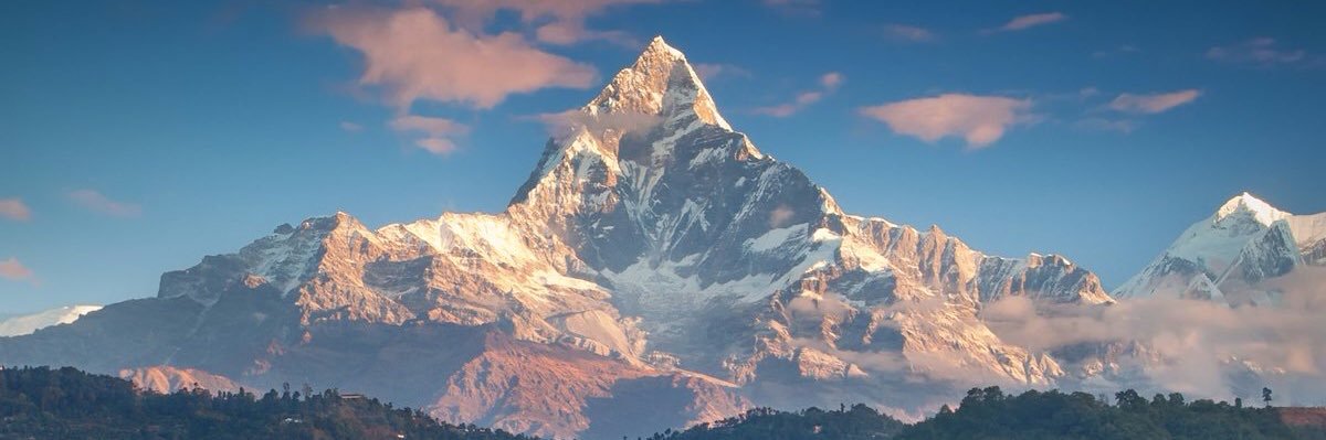 श्वेतशार्दूल banner