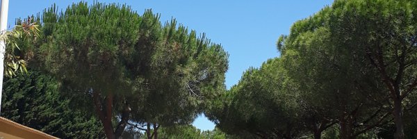 alexmoravcik Profile Banner