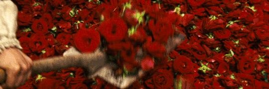 🌹✴️#️⃣𝕽𝖔𝖘𝖊_𝕽𝖔𝖘𝖊𝖙𝖙𝖆💙✴️🌹 banner