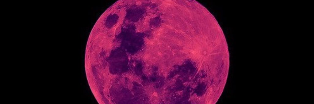 heslaugh's profile banner image