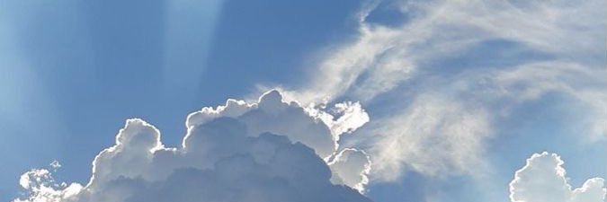 d_albanese's profile banner image
