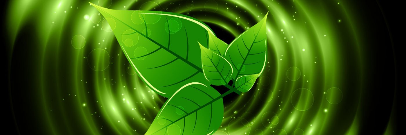 p_pnps's profile banner image