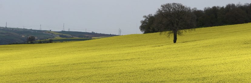 tgbaykt's profile banner image