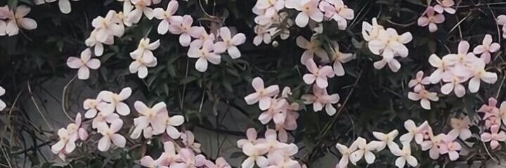 YeraldinShekina's profile banner image