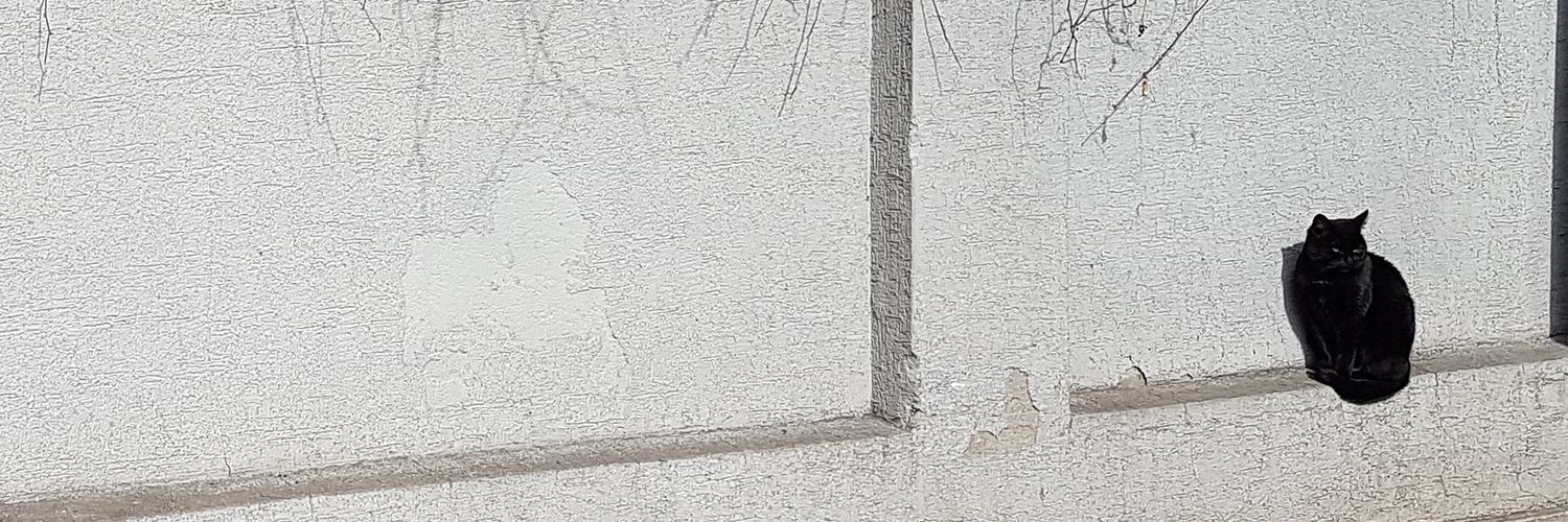 Bastich1's profile banner image