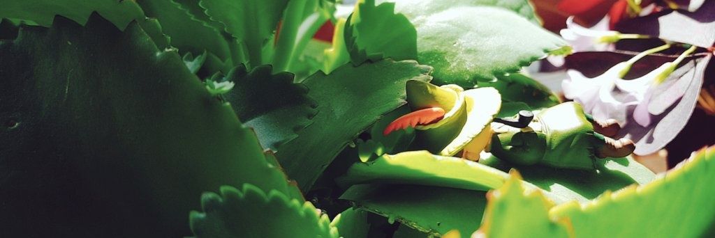 스위치하는 비밀 banner