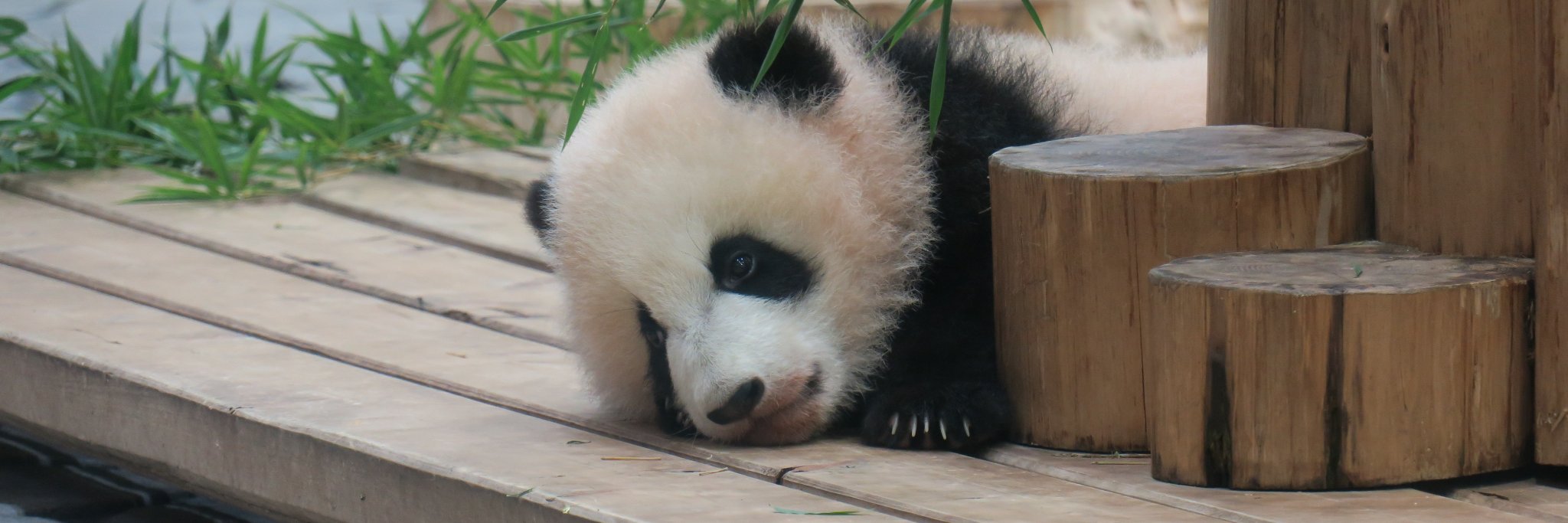 キヨソネ 或いは KYは静かに眠りたい banner