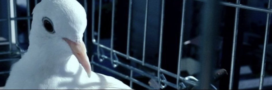 coma_no_s's profile banner image