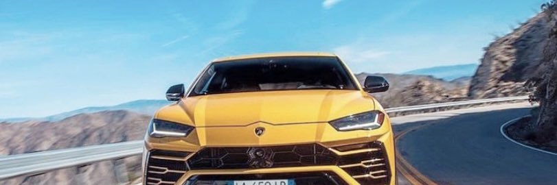 PapyVuitton's profile banner image