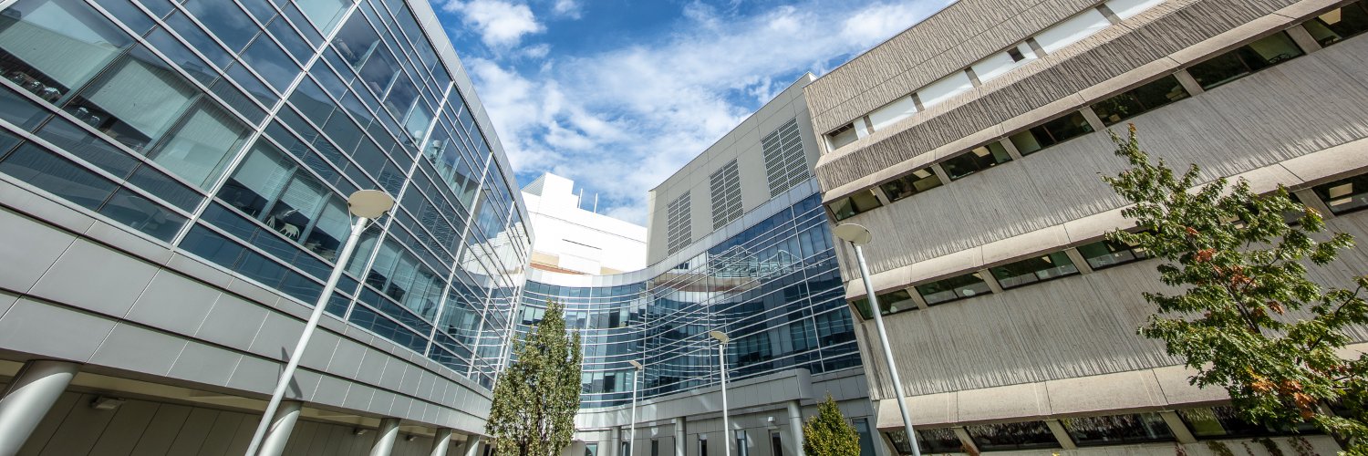 College of Engineering and Physical Sciences's banner