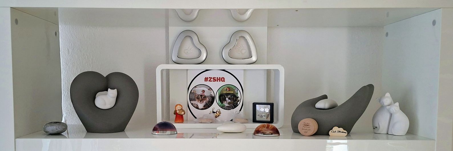 🐈🐱 Cat Stevens 🌈 & Luna 🐱🐈 🌈 banner