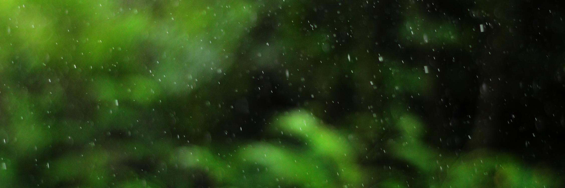 Yashaswi Rao banner