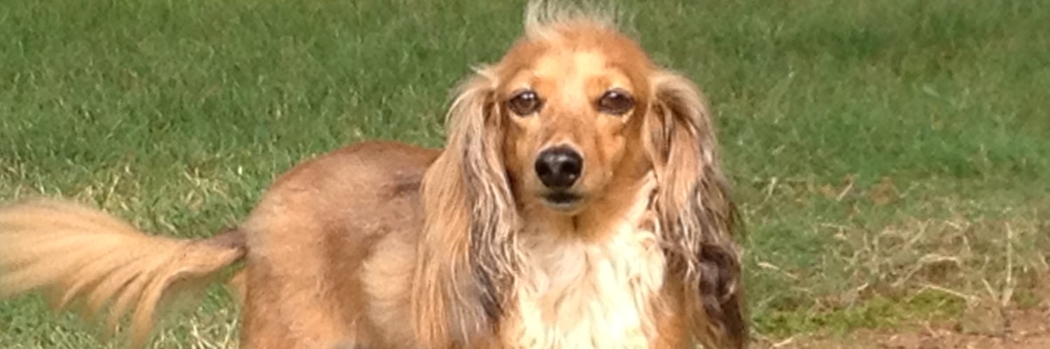 Michael Potts banner