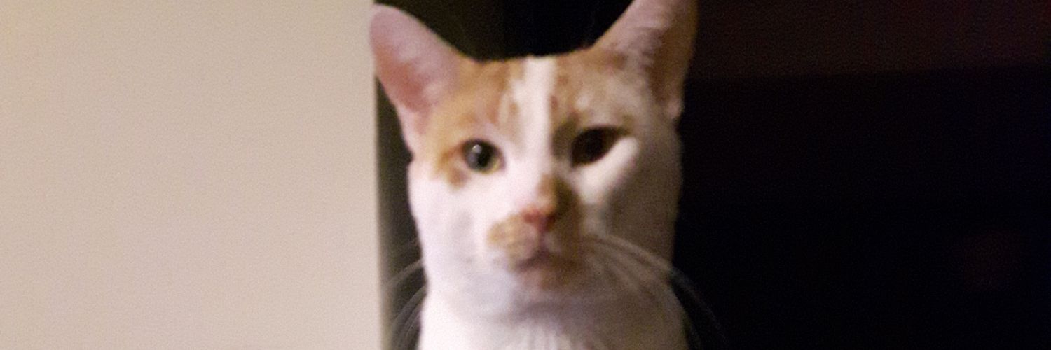 Coltravesty's profile banner image