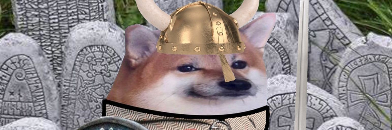 Thor V¡kingfella 🇳🇴🇺🇦🦈🦁 banner