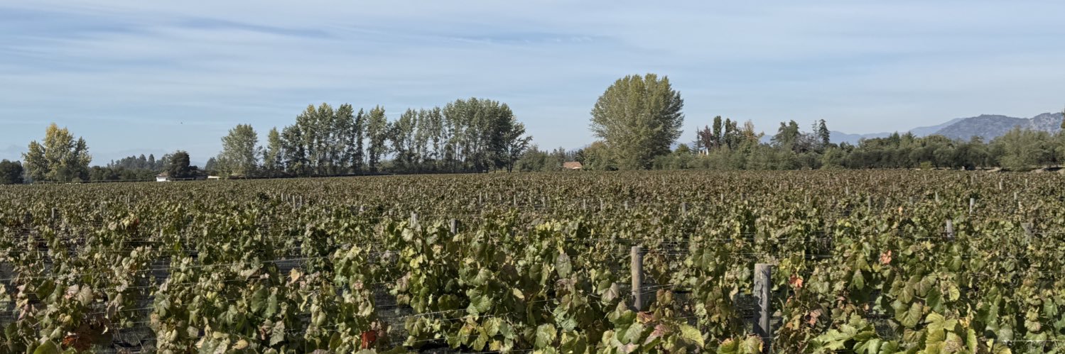 Ricardo Sánchez banner