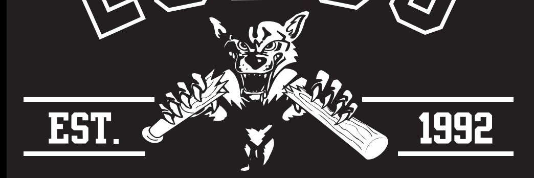 Fort Worth Lobos Baseball/Softball Club banner