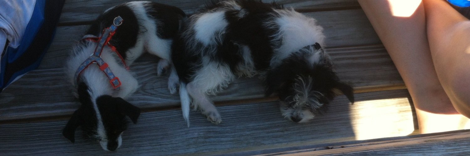 KUndercoffer's profile banner image