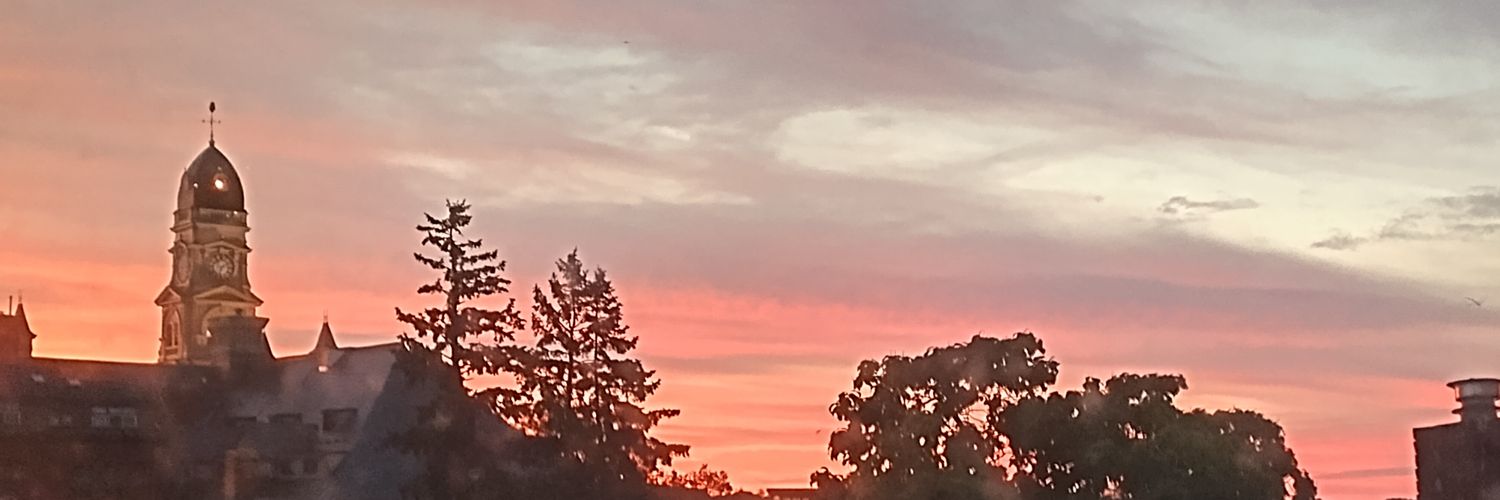 Tiny Bunny🥰 banner