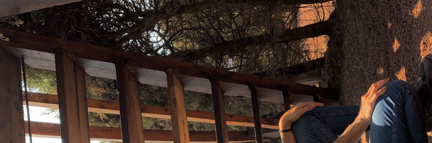 YViilla's profile banner image