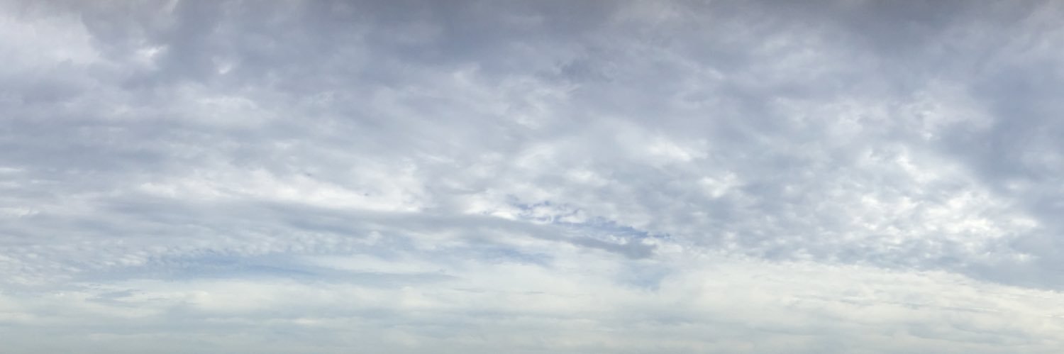 Nalally1's profile banner image