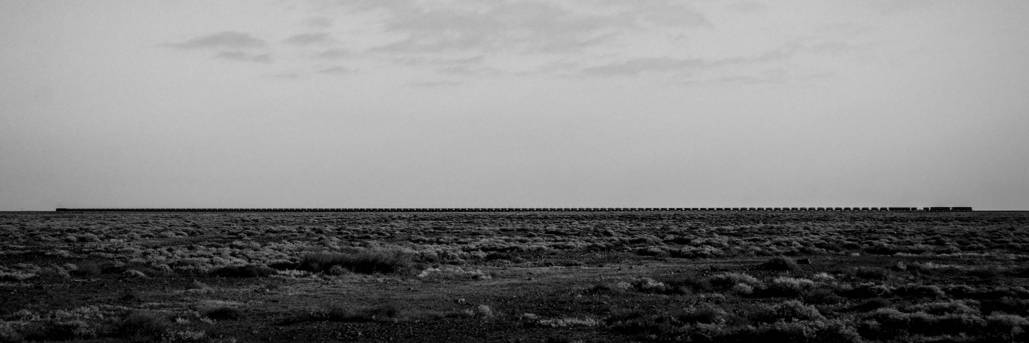 Raphael Knipping banner