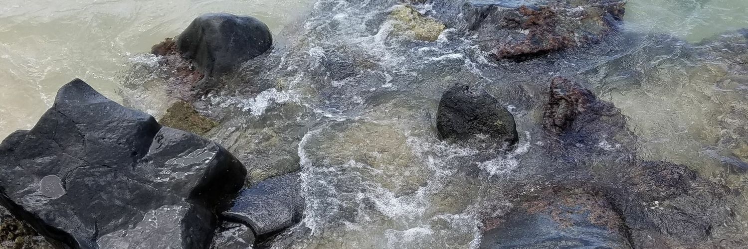 Bekah1985's profile banner image