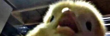 ma_sofiaa's profile banner image
