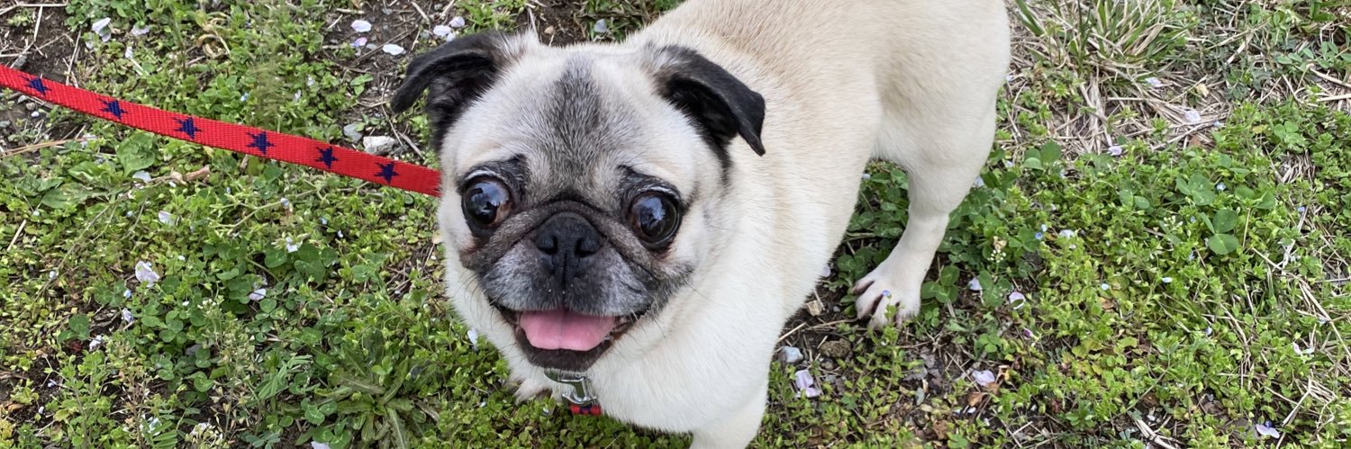 もっつーちーころりん banner