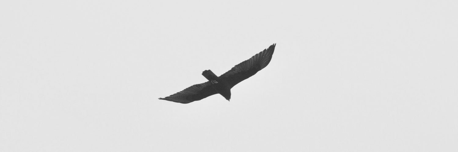 raptours's profile banner image