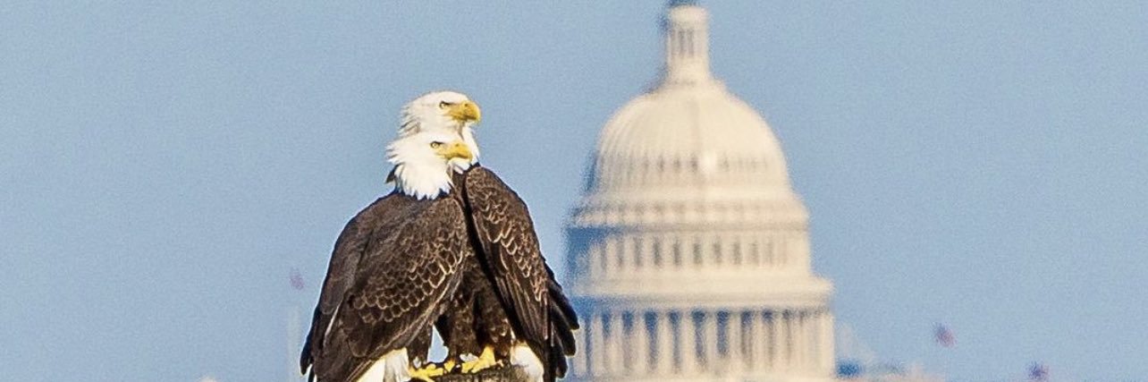 flyboski's profile banner image