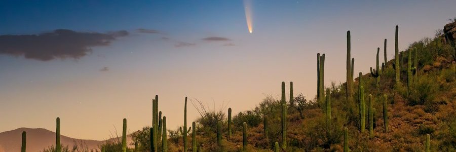 MRob in Baja AZ banner