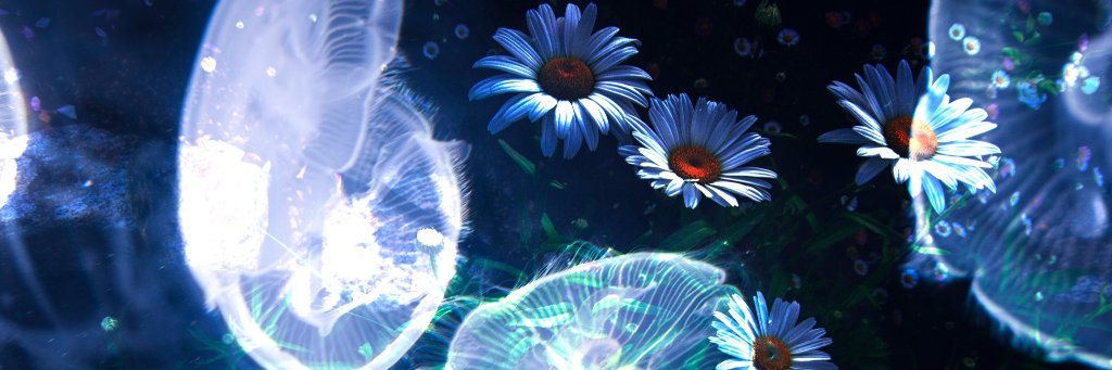 mana_13's profile banner image