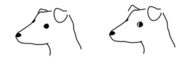 leekssucker Profile Banner