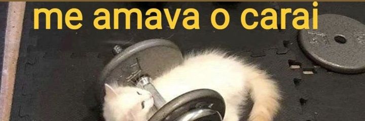 guto___silvaa's profile banner image