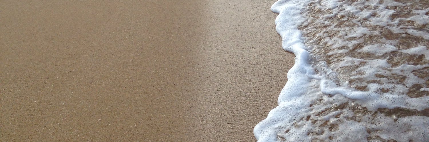 liethlizardom's profile banner image