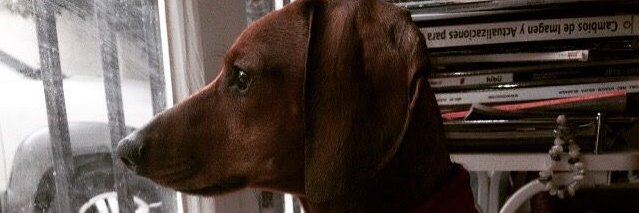pablo_jack's profile banner image